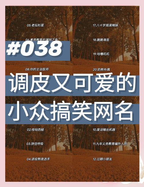 獨(dú)特得名字