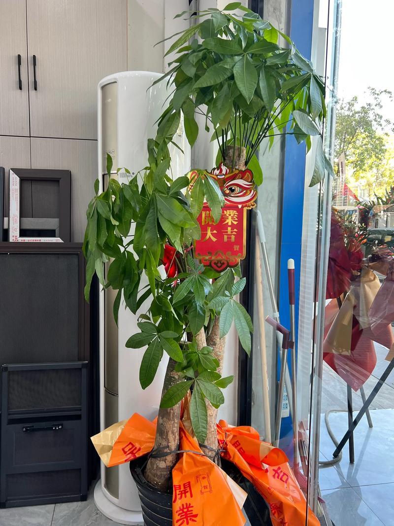 1月份黃道吉日2026年開業(yè)