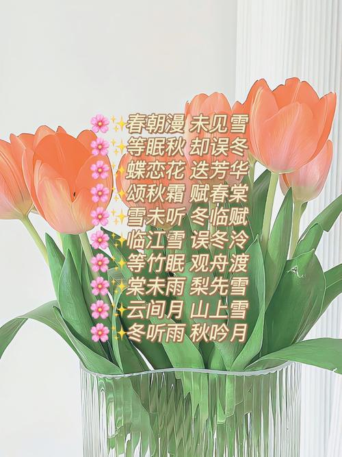 女生傷感網(wǎng)名大全